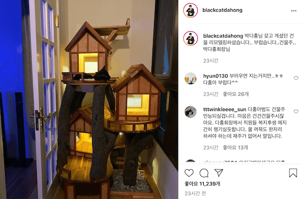 박수홍-다홍이-인스타