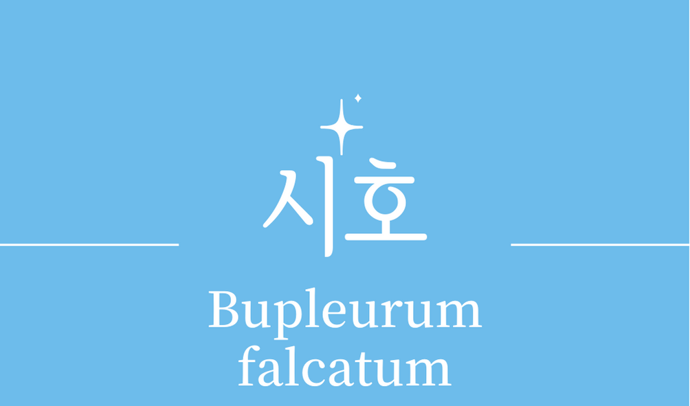 &#39;시호(Bupleurum falcatum)&#39;