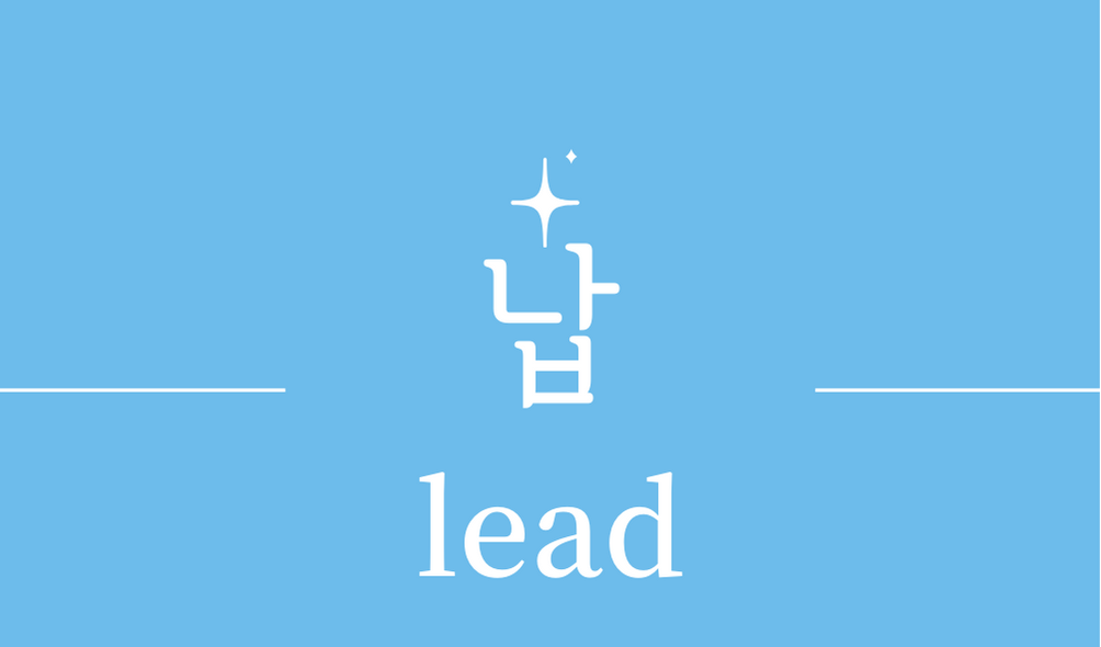 &#39;납(lead)&#39;