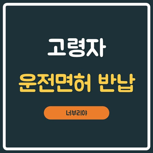  고령자 운전면허 반납 신청 , 혜택을 알아보자!