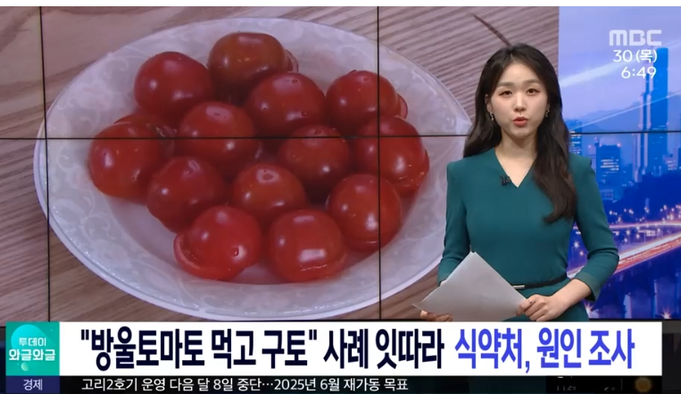 토마토 먹고 구토 증세에 대한 뉴스장면