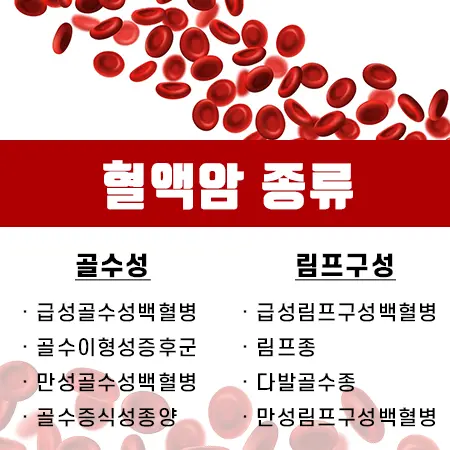 혈액암 종류