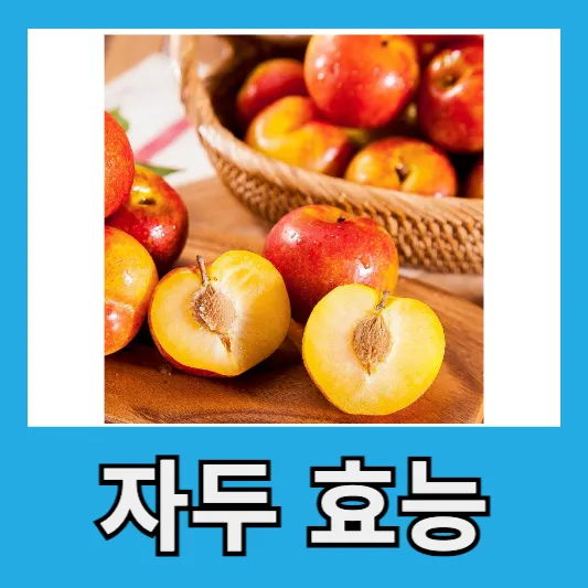 자두 효능