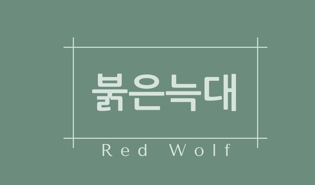 붉은늑대(Red Wolf)