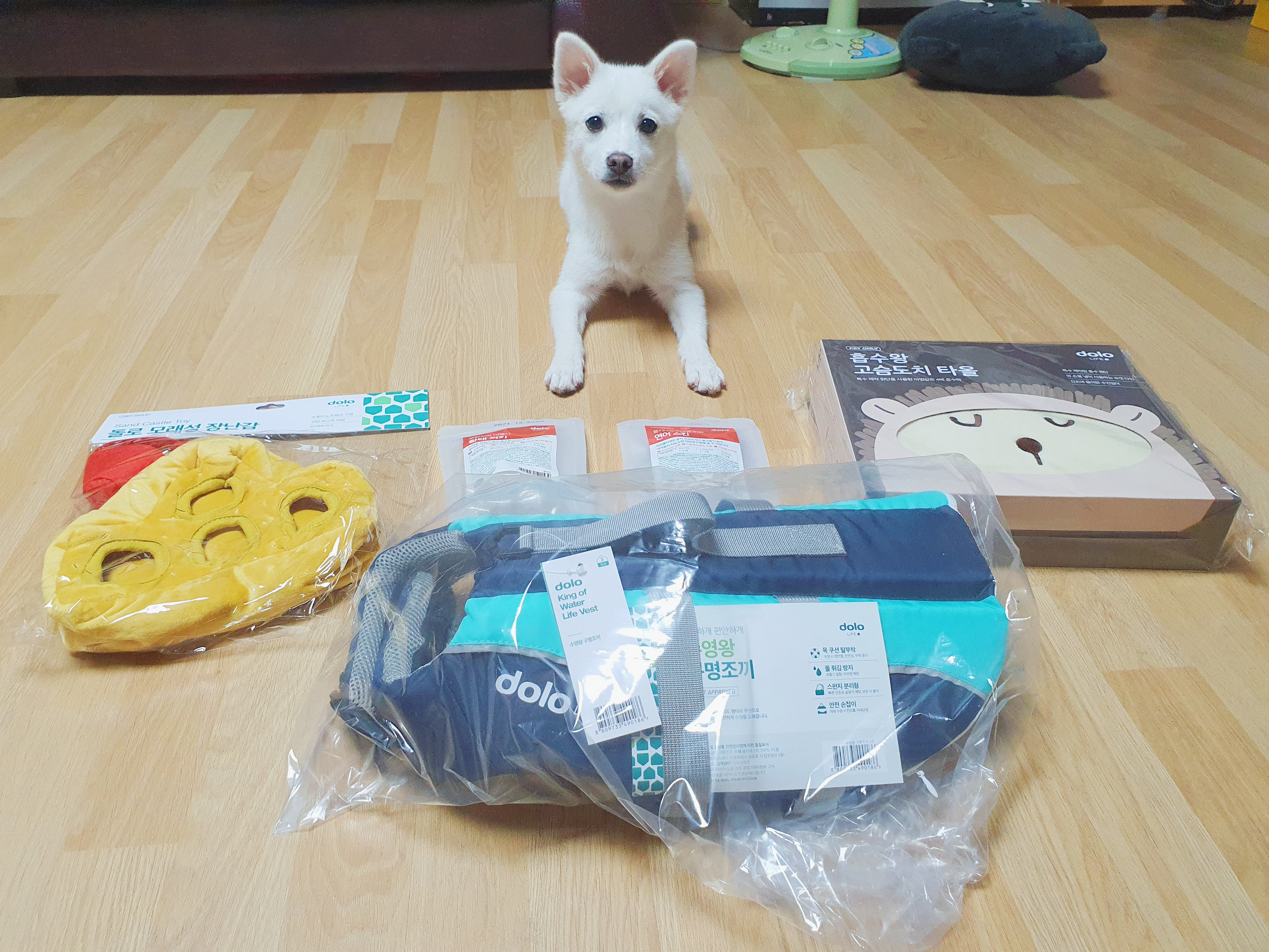  애견용품 선택형 정기배송 <7월의 돌로박스>