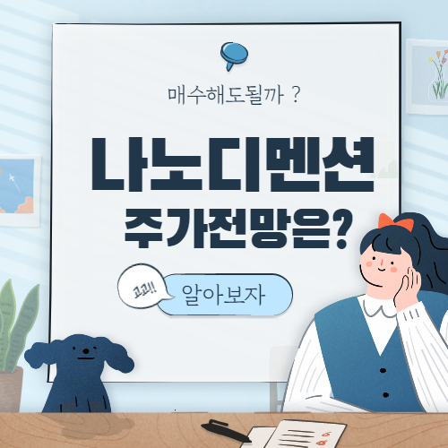  나노디멘션(NNDM) 주가 전망 :: Nano Dimension 주식
