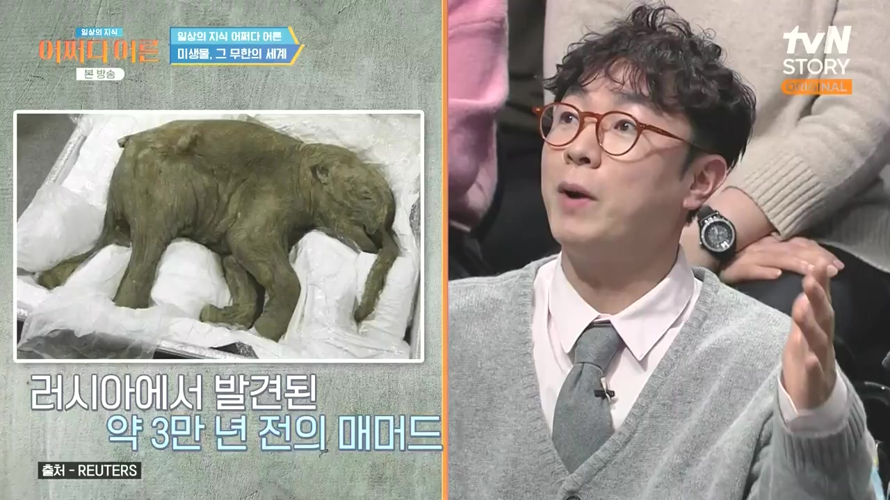 어쩌다 어른.E51.240410p-NEXT.mp4_20240410_170532.971.jpg