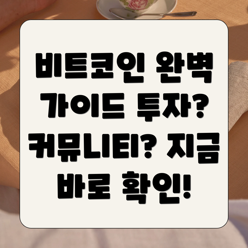 비트코인 갤러리