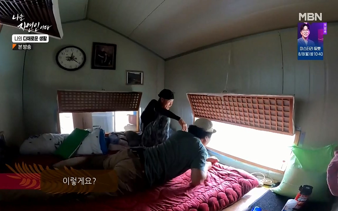 나는 자연인이다.E513.220804p-NEXT.mp4_20220804_201954.742.jpg