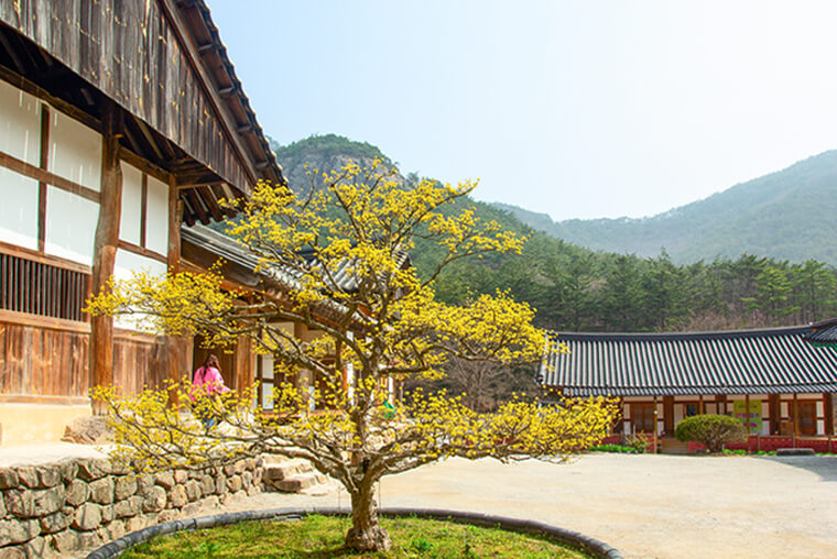 전남부안 내소사