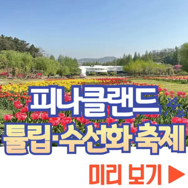 피나클랜드 튤립 수선화 축제 미리 보기