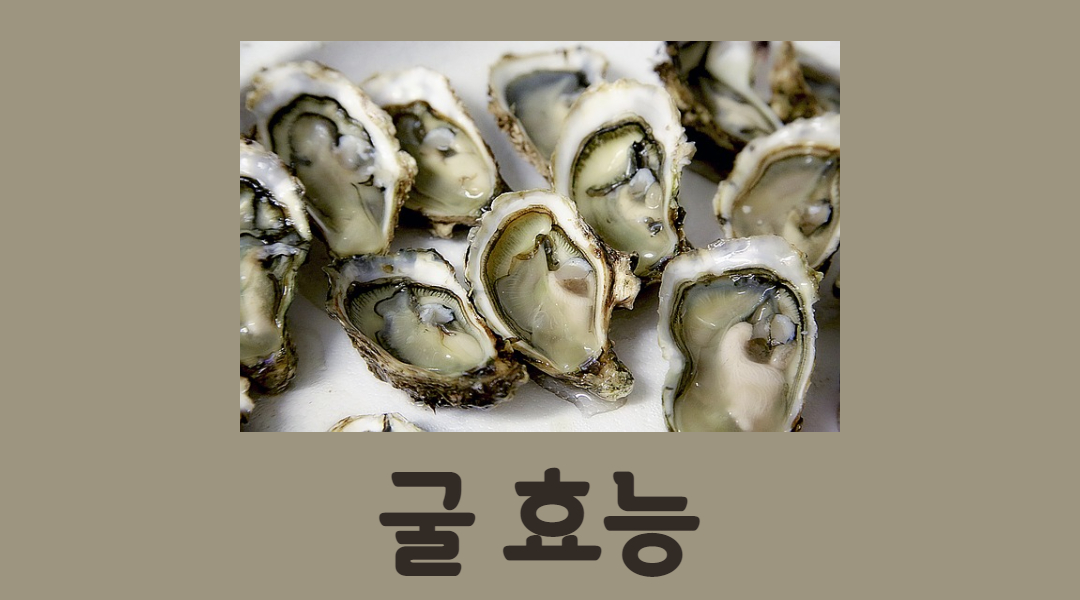  나만 모르는 굴 효능