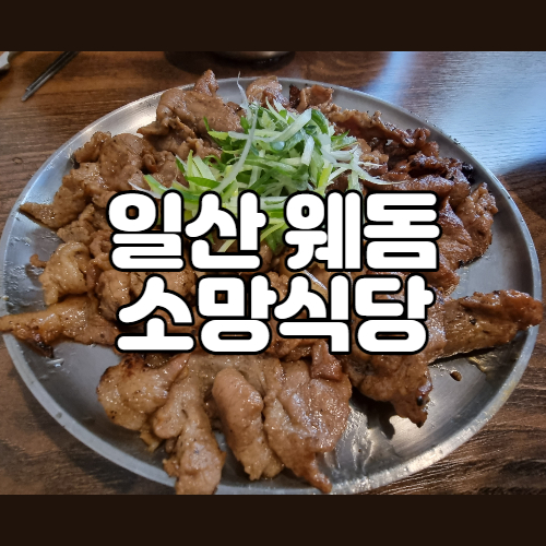  일산 웨돔맛집 소망식당 간장 숯불 석쇠불고기로 간단하게 점심해결