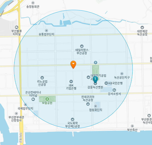 부산 강서구 송정동 일요일 진료 휴일 문 여는 병원