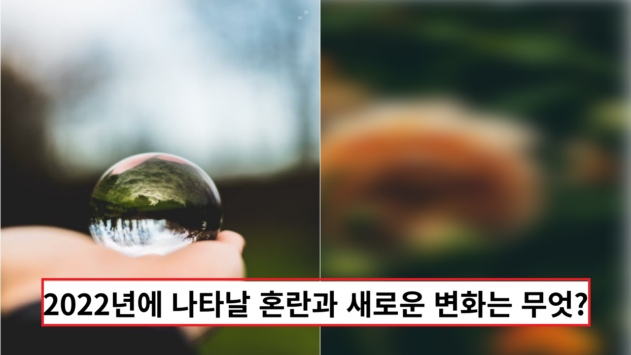  2022년 임인년에 나타날 혼란과 새로운 변화는 무엇?