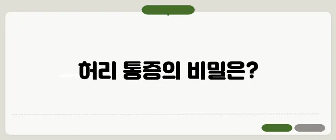 허리 통증 원인 분석 자세부터 디스크까지 다양해요
