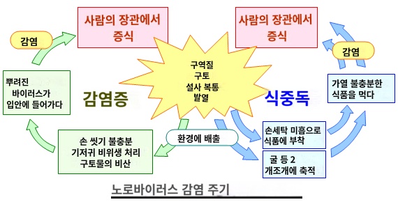  노로바이러스에 대해 알아보자