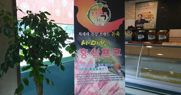 해성