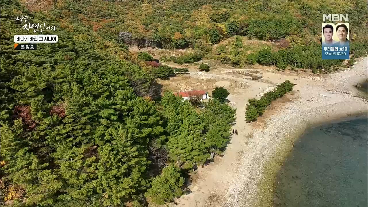 나는 자연인이다.E530.221131p.H264-F1RST.mp4_20221201_212028.086.jpg