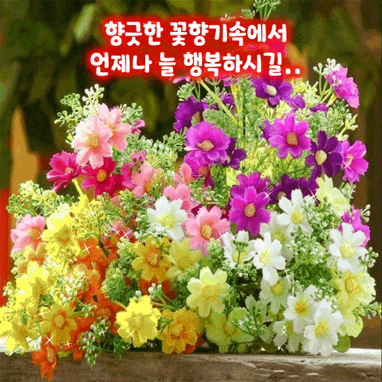  오늘의 좋은글 313번째 보통의 사람은 너무 빨리 단념 하기 때문에 실패 합니다