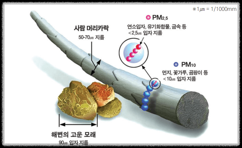 미세먼지의 크기 비교