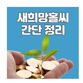 새희망홀씨 대출조건, 대출은행, 대출한도 알아보기.