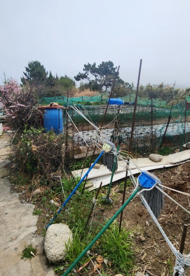 중화 이미지