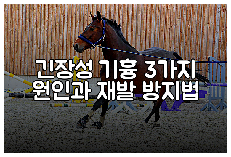 긴장성 기흉 3가지 원인과 재발 방지법