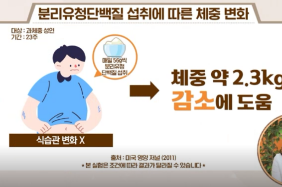 분리유청단백질 효능