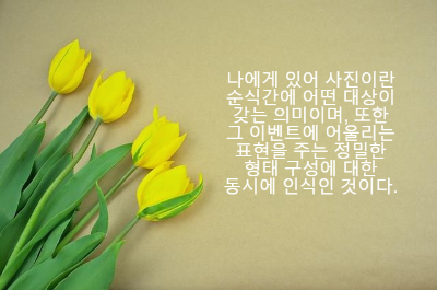 황토색 바탕에 노란 튤립 네 송이