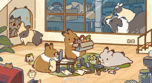 토끼공장 이미지