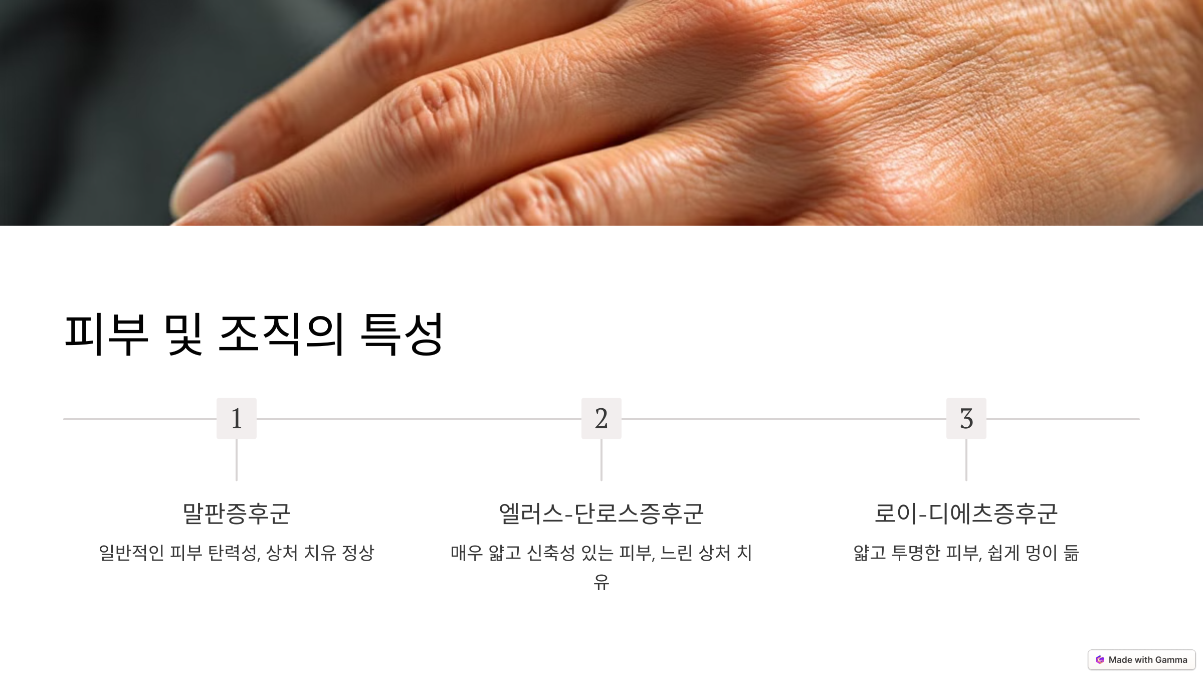 피부 및 조직의 특성