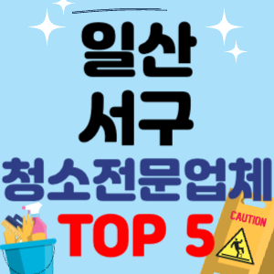 일산서구 입주청소 비용 가격 전문 아파트 후기 업체 이사청소 원룸청소 추천 견적 TOP 5