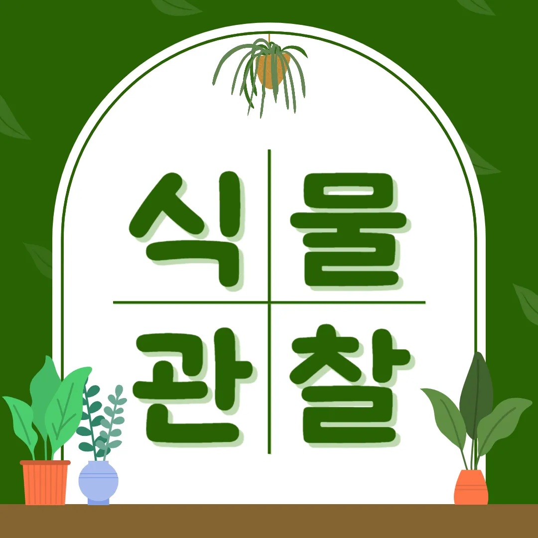 식물 관찰하며 읽기 좋은 책