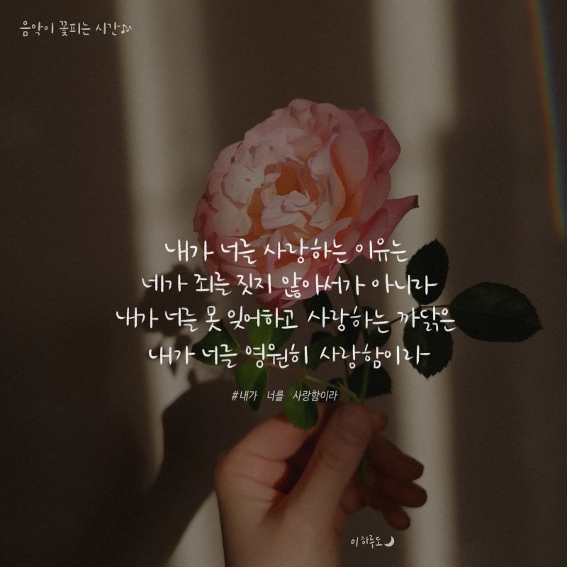 꽃이피는시간 이미지