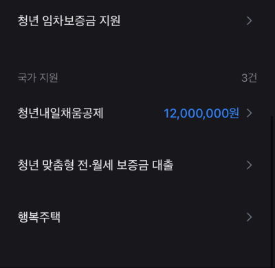 정부 지원금 종류