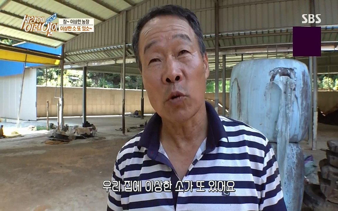 순간포착 세상에 이런일이.E1190.220727p-NICE.mp4_20220727_202107.595.jpg