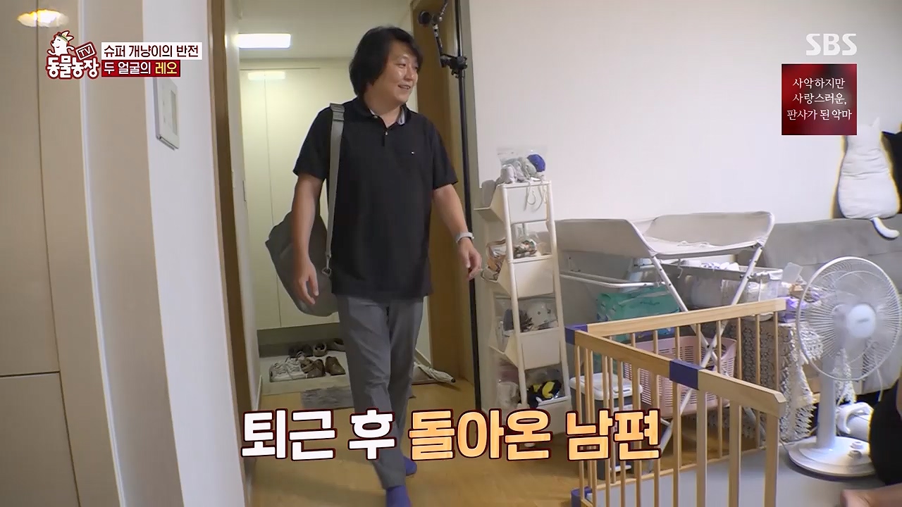 TV 동물농장 1189화 다시보기.ts_20240922_161939.912.jpg