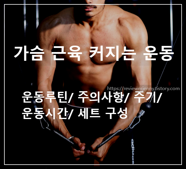  근력 운동_가슴 근육 커지는 운동 루틴, 주의사항, 운동 주기, 시간, 세트 구성 다 정해드림.