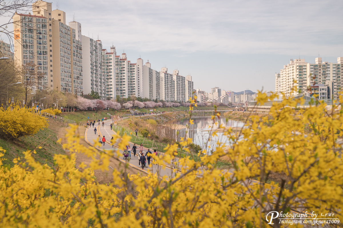  봄의 시작을 기다리며...