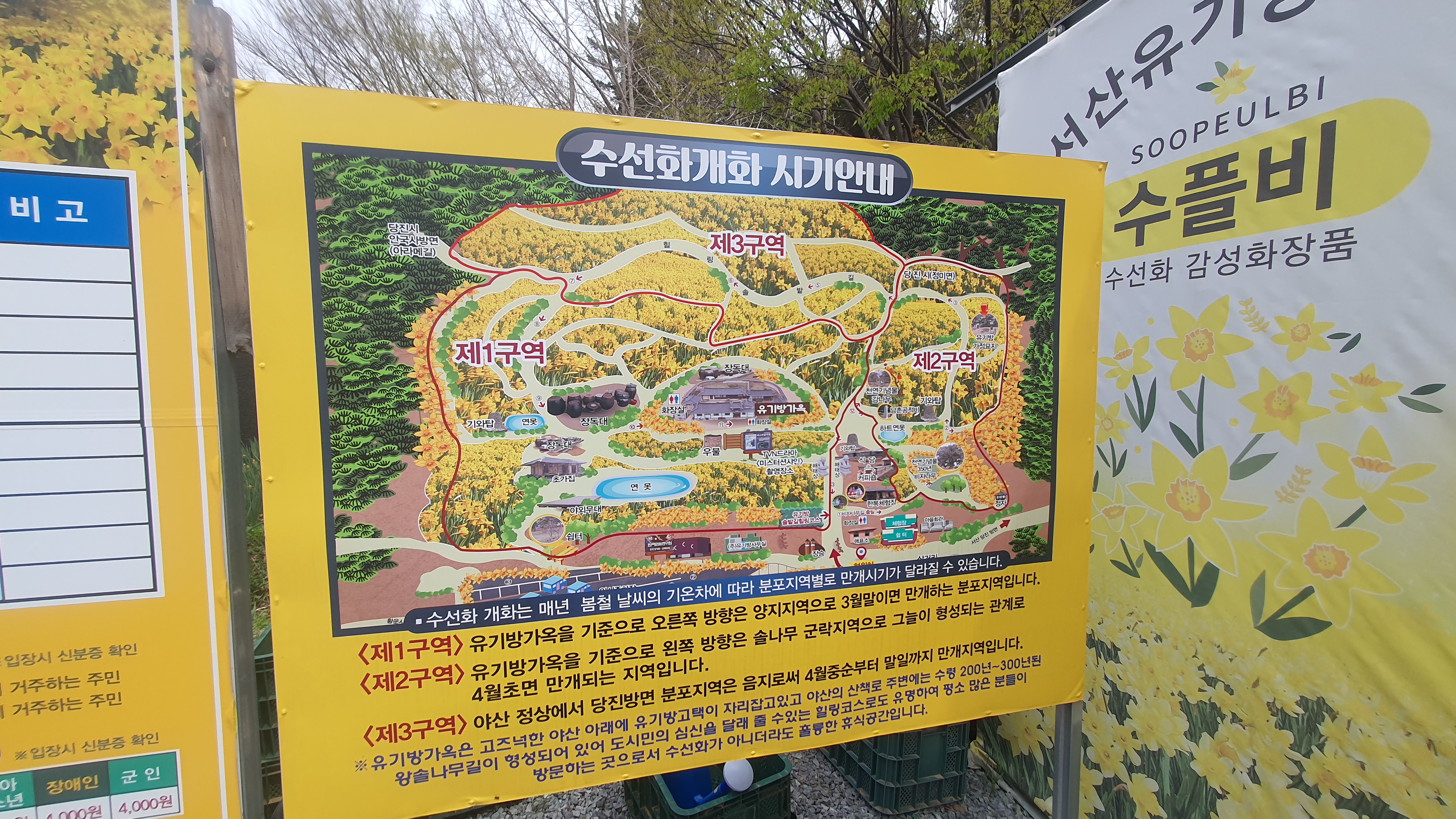 서산 유기방가옥 수선화축제