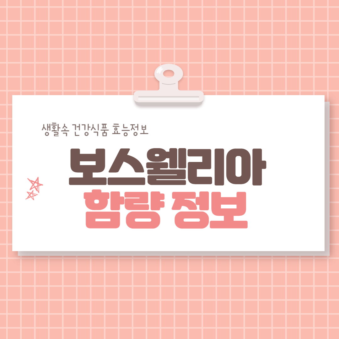  보스웰리아 함량 알아봐요!