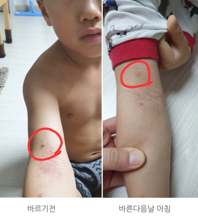 구원자 30대피부 갓성비 화장품 ::썬로이화장품::오래된식빵 같은 내 피부의 6