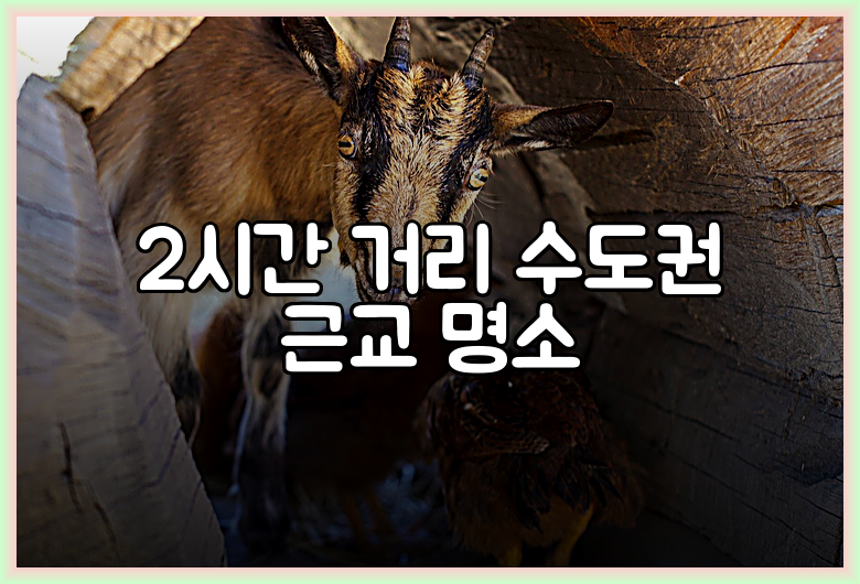 2시간 거리 수도권 근교 명소