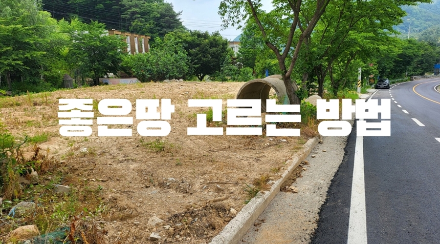 좋은 땅 돈 되는 토지 매매 고르는 법 포인트 도로 진입로 유무 부동산 경매 토임 위주 매물 좋은 땅 돈 되는 토지 매매 고르는 법 포인트 도로 진입로 유무 부동산 경매 토임 위주 매물