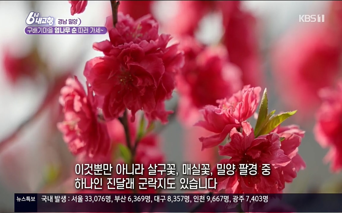 6시 내고향.E7510.220414p.H264-F1RST.mp4_20220419_182022.777.jpg