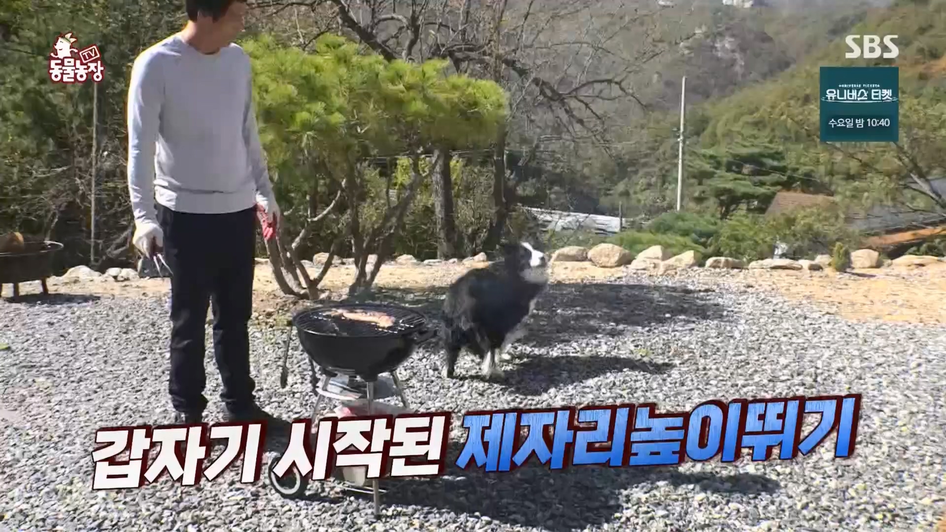 TV 동물농장.E1148.231203p.H264-F1RST.mp4_20231203_181429.927.jpg