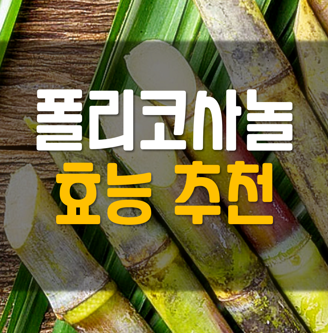 폴리코사놀의 효능 추천