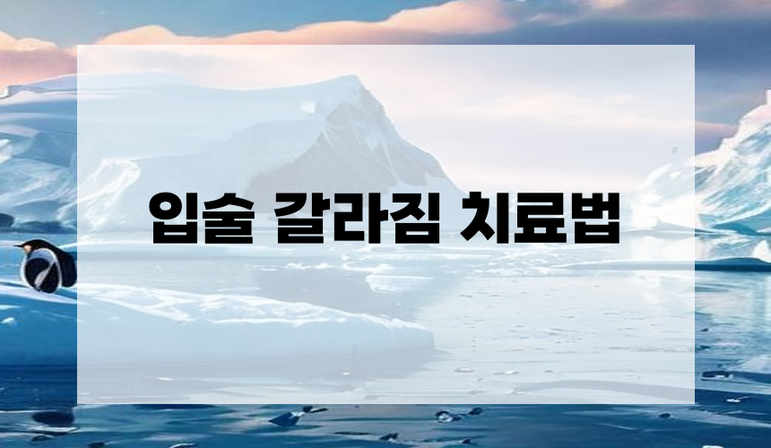 입술 갈라짐 치료법