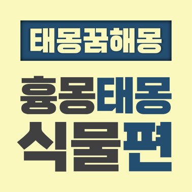  [꿈해몽풀이] 흉몽 태몽 식물편